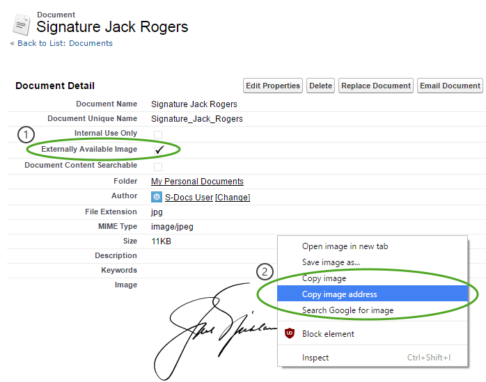 Embedding Static Images (2)